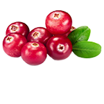 A Femixal formula természetes összetevői