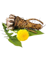 A Femixal formula természetes összetevői