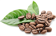 Koffein
Jelentősen erősíti a készítmény összetételébe tartozó egyéb funkcionális anyagok aktivitását, enyhíti a duzzadást