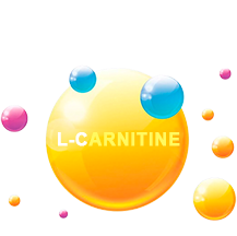 L-karnitin
A zsírt energiává alakítja.