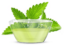 Mentol
Érzéstelenítő hatást fejt ki, javítja a hatóanyagok behatolását a bőrbe.