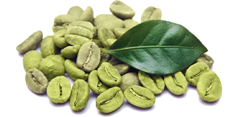 Zöld kávé
Helmintikus hatása van, csillapítja a fájdalmat és normalizálja az emésztést