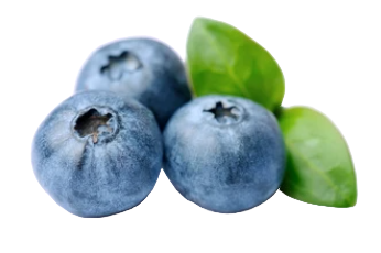 Áfonya

Segít javítani a húgyhólyag funkcionális állapotát és segít megtisztítani azt. Elpusztítja a nemkívánatos baktériumokat és vírusokat, megakadályozva azok behatolását a hólyag nyálkahártyájába.