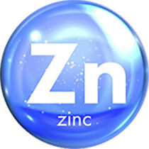 Cink
A sejtek anyagcseréjének számos aspektusában részt vevő ásványi anyag, amely elengedhetetlen a jó immunitáshoz és a reproduktív funkciókhoz