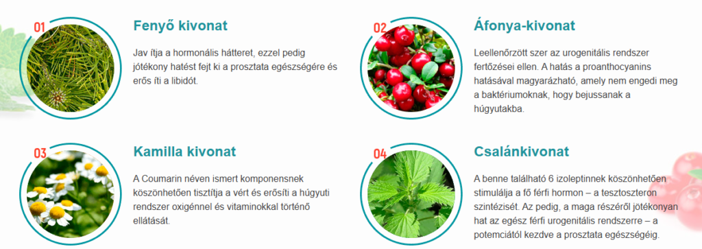 Uromexil Forte természetes összetevői saw palmetto csalángyökér cranberry cink